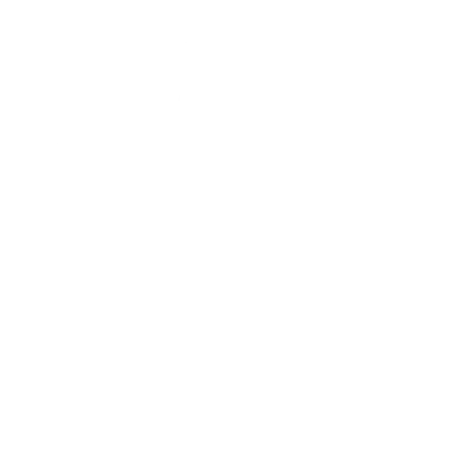 Icoon wereldbol voor immigratie-expertise